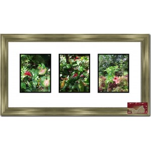 Darby Home Co Fabien Collage Picture Frame DBHM3936
